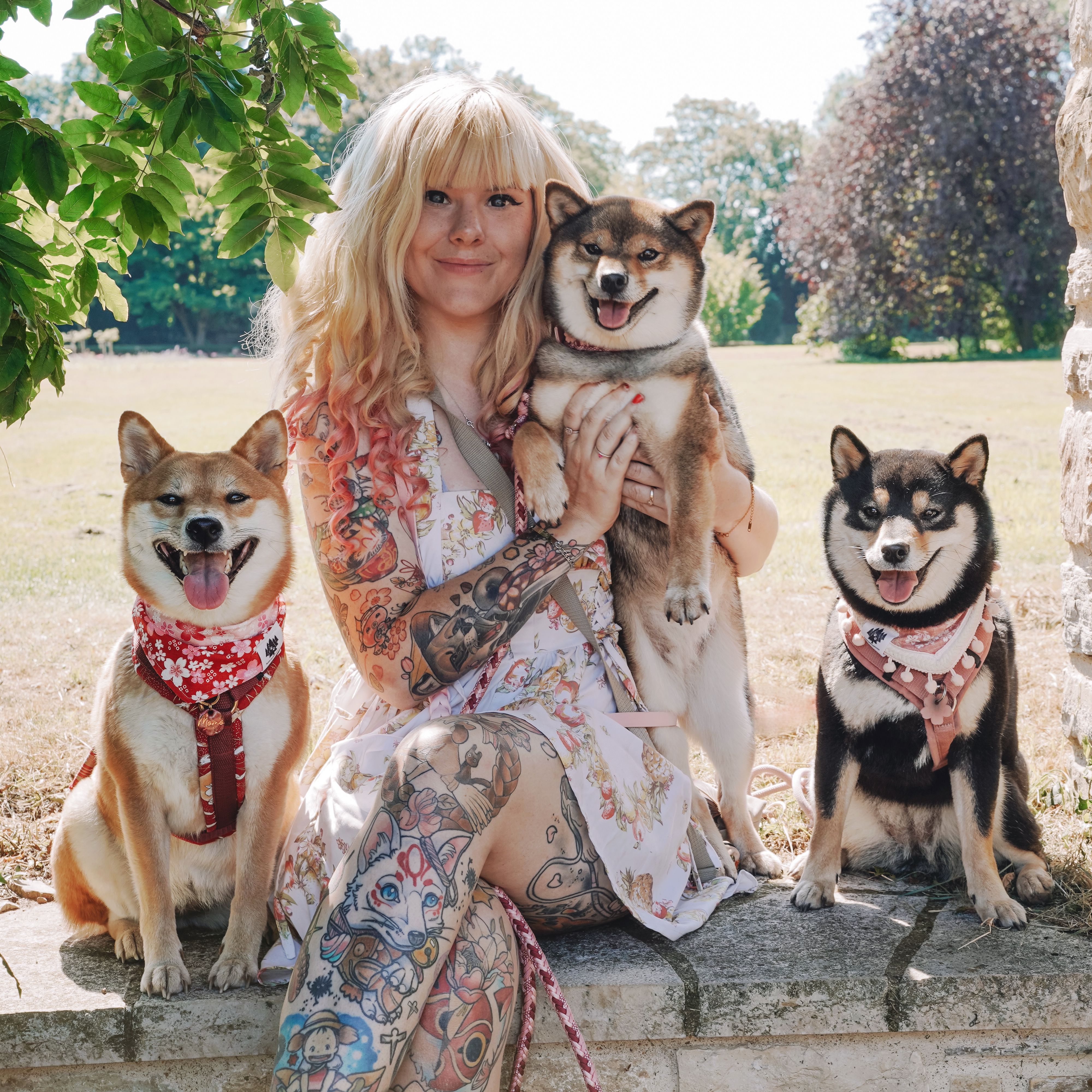 Bereits herrgestellte Kollektionen